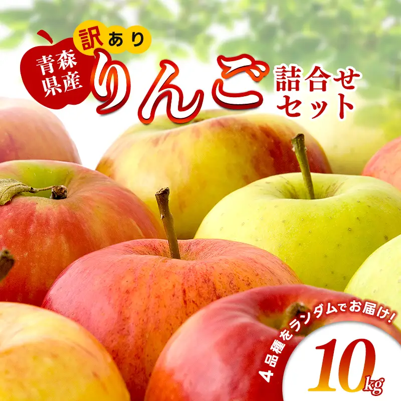 【特に訳あり】 藤崎町産 りんご 約10kg 【ふじさき季の会】 F41-0129