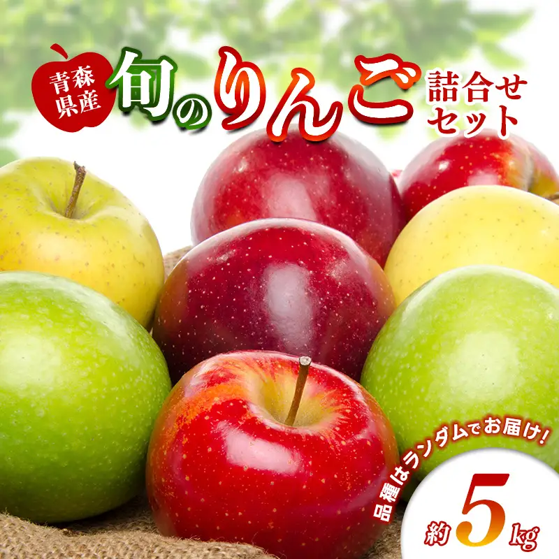 旬のりんご詰め合わせ 約5kg 【ふじさき季の会】 F41-0130