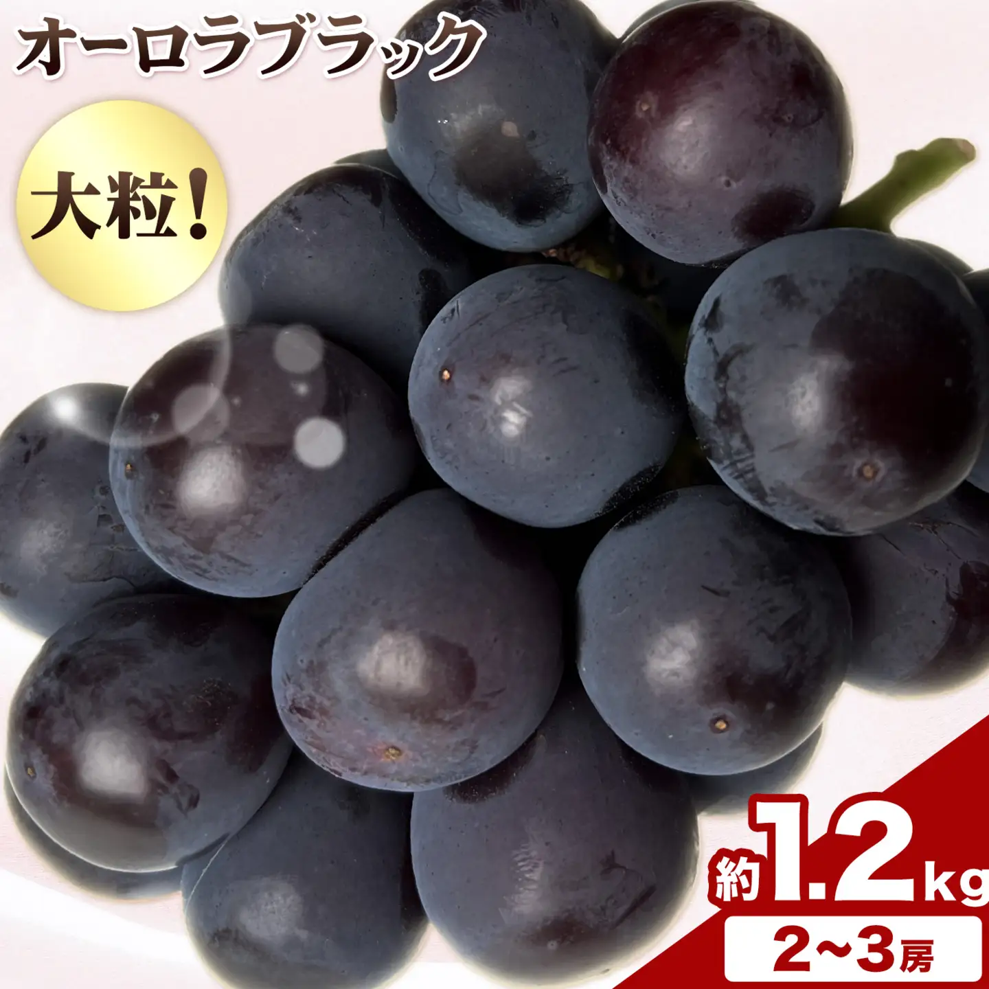 【2027年先行予約】岡山県産 ご家庭用 オーロラブラック 2～3房 約1.2kg【配送不可地域：離島】