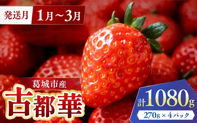 1~3月発送　葛城市産古都華4パック【ichi0004】