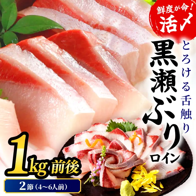 ＜翌月末までに発送予定＞活じめ！黒瀬ぶりの生鮮ブリロイン2節（1.0kg前後）_K001-012