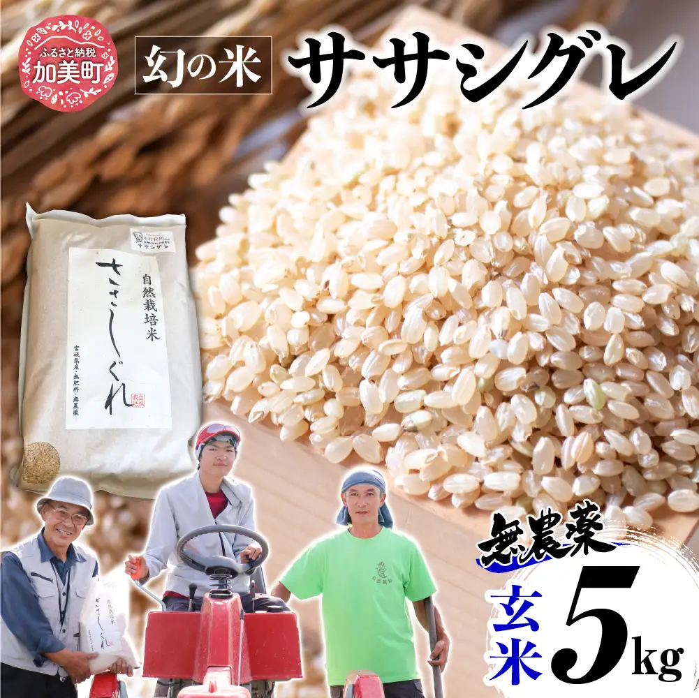 【新米予約】《 希少品種米 》 米 令和8年 宮城県産 ササシグレ ( 栽培期間中農薬・肥料不使用 ) 玄米 5kg ｜ 宮城県 加美町 無農薬 ｜ nt-ss05-gn-r8