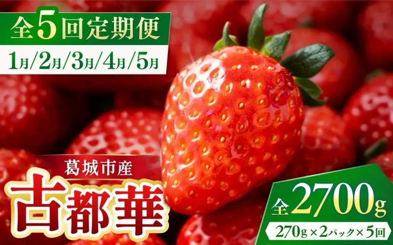 【全5回定期便】葛城市産古都華　270g×2パックを5か月連続でお届け！　1月/2月/3月/4月/5月【ichi-tkb0001】