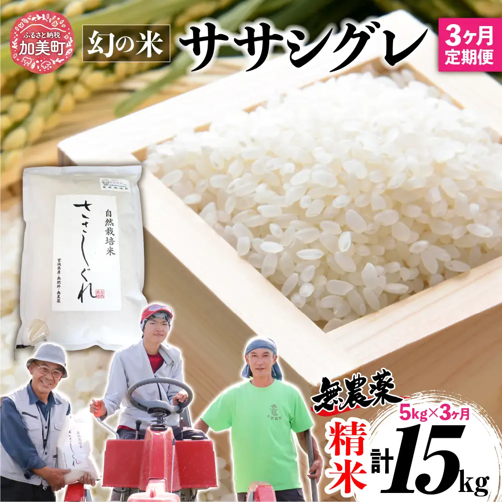 【新米予約】《 希少品種米 》 米 令和8年 宮城県産 ササシグレ ( 栽培期間中農薬・肥料不使用 ) 【 3回 定期便 】 精米 白米 5kg × 3ヶ月 （ 合計 15kg ）無農薬 ｜nt-ss05-t3-r8