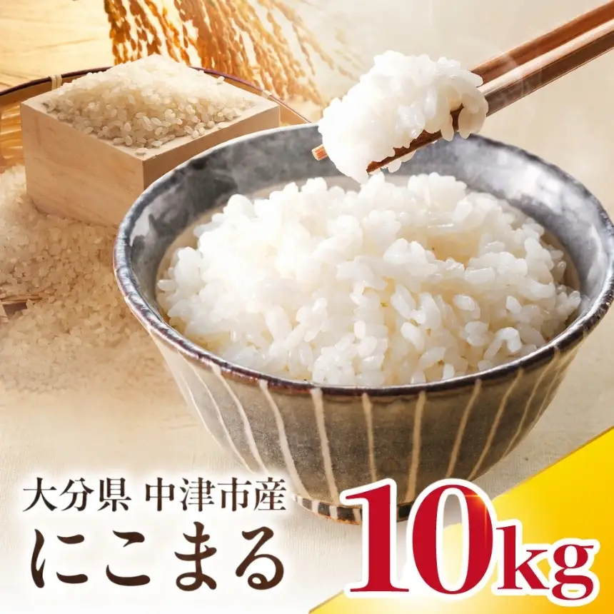 【寄附使途限定】【数量限定】大分県中津市産 やまくに誉 にこまる 10kg ( 5kg × 2袋 ) | お米 白米 精米 うるち米 単一米 ご飯 産地直送 ブランド米 国産米 九州 大分県 中津市