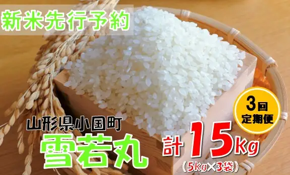 【3回定期便】【令和８年産米 先行予約】雪若丸5kg　計15kg　おぐにのこめ