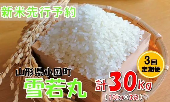 【3回定期便】【令和８年産米 先行予約】雪若丸10kg　計30kg　おぐにのこめ