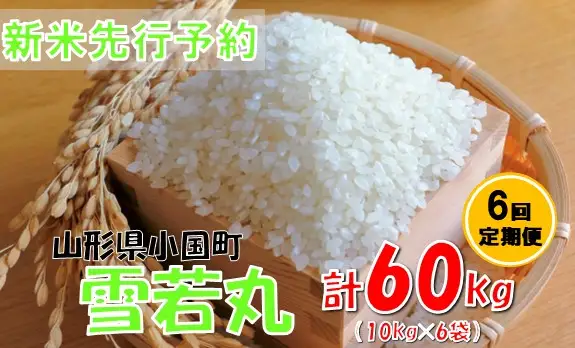 【6回定期便】【令和８年産米 先行予約】雪若丸10kg　計60kg　おぐにのこめ
