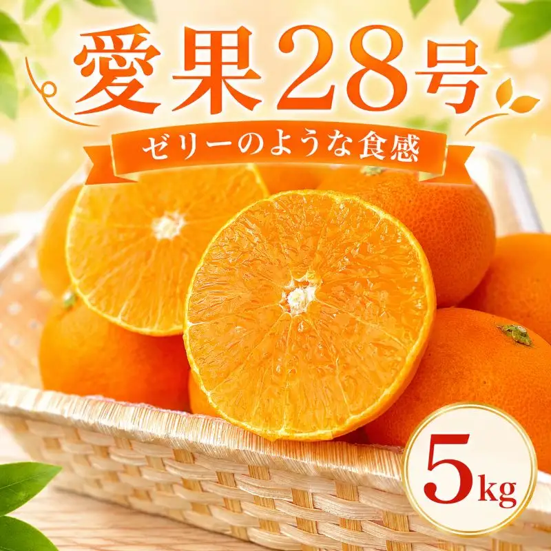 愛果28号 (紅まどんな と同品種) 約5kg | あいか まどんな 愛媛県 松山市 【MWS001】