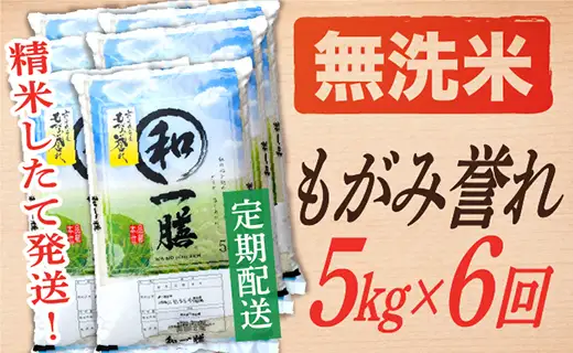 【定期便】【無洗米】 令和8年産予約 もがみ誉れ 5kg (5kg×1) 6回配送　【初回R9年1月発送】