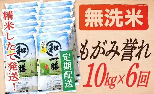【定期便】【無洗米】 令和8年産予約 もがみ誉れ 10kg (5kg×2) 6回配送　【初回R9年1月発送】