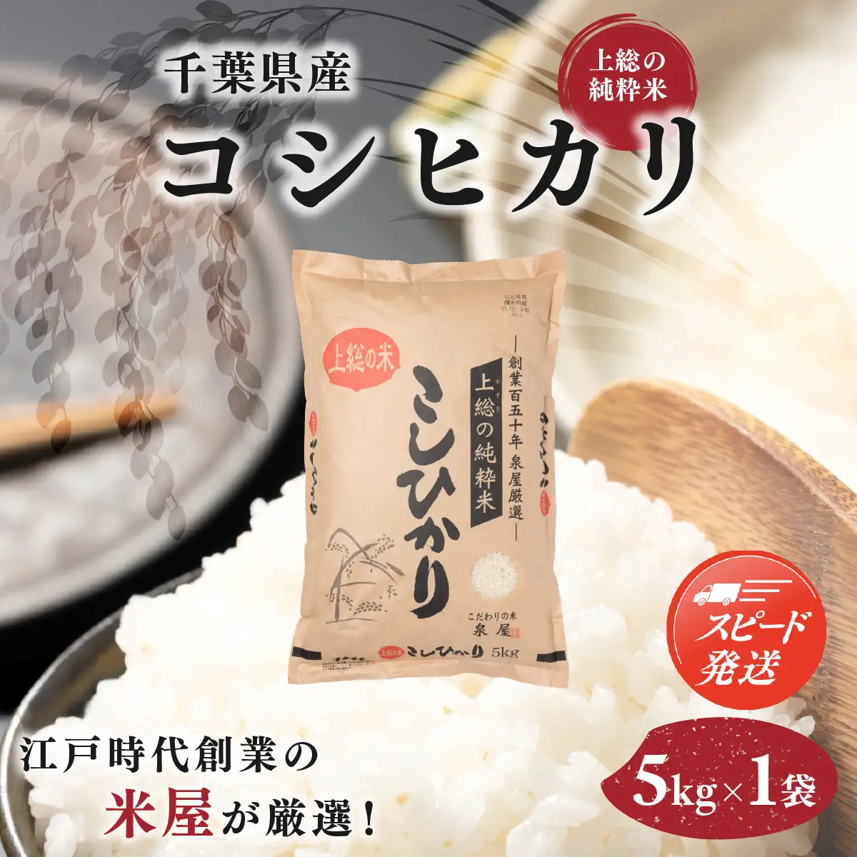 【最短2～7営業日にて出荷】令和8年度産  上総の純粋米「コシヒカリ」　5kg　【厳選】千葉県産   KCV002