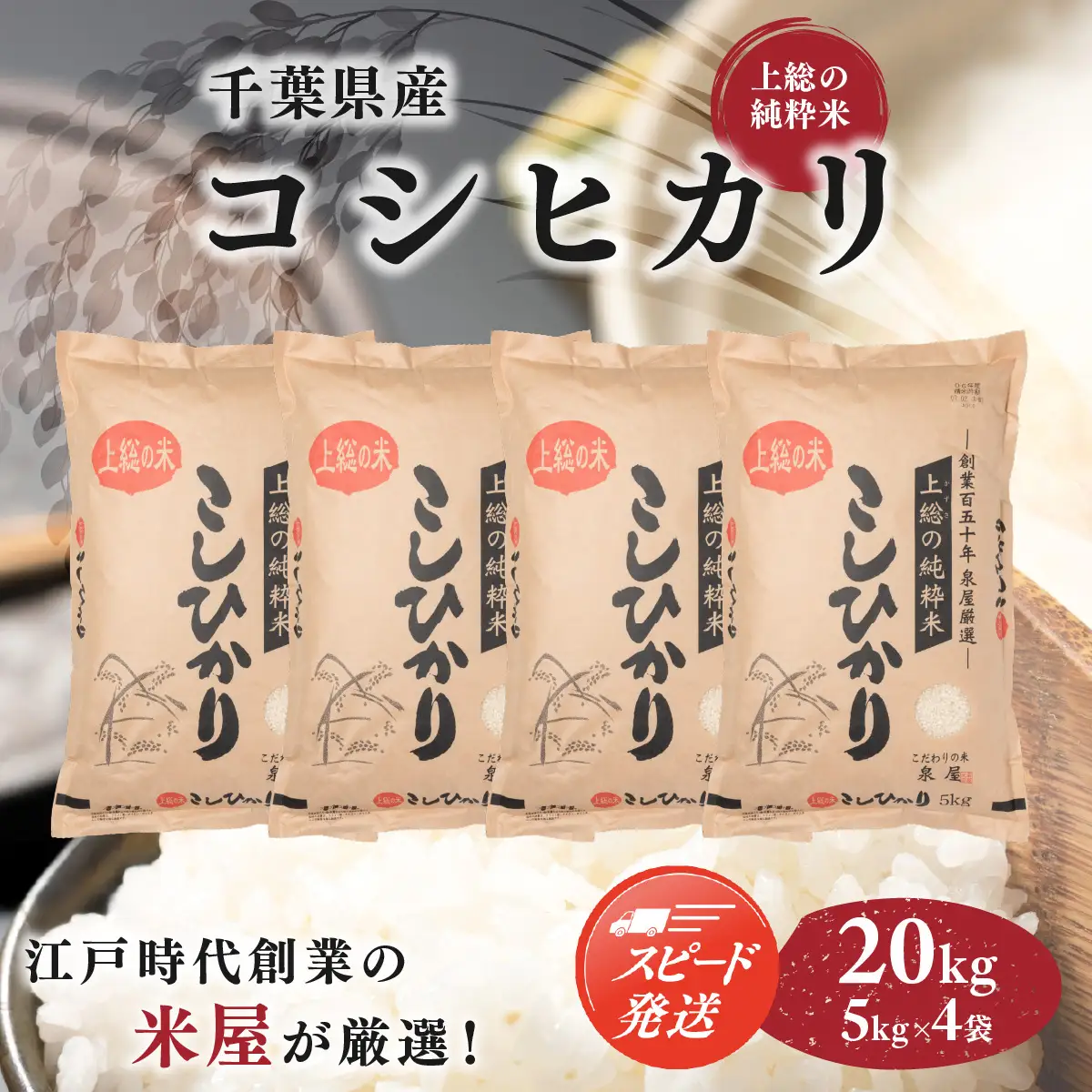 【最短2～7営業日にて出荷】令和8年度産  上総の純粋米  「コシヒカリ」  20kg (5kg×4) 【厳選】千葉県産 KCV003