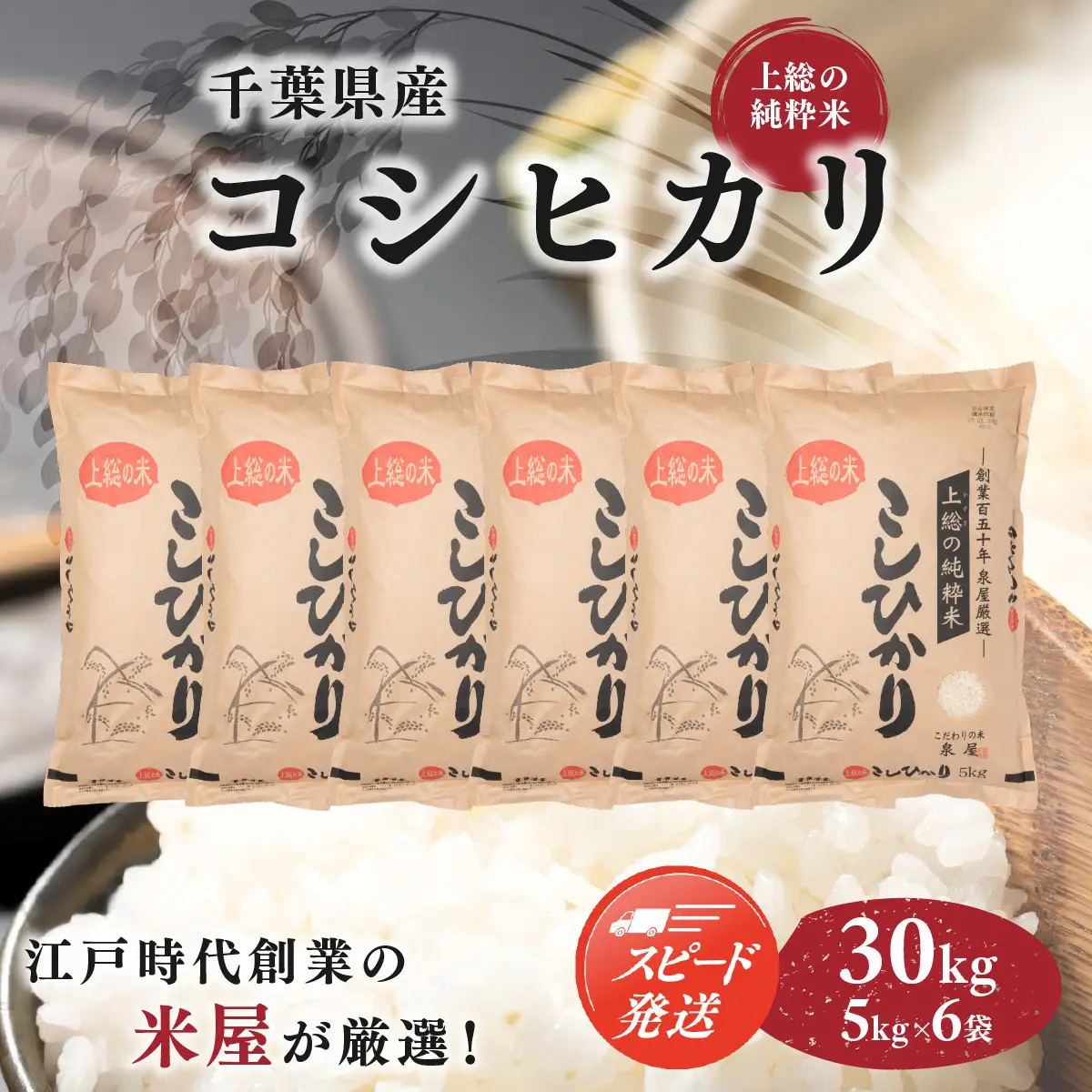 【最短2～7営業日にて出荷】令和8年度産  上総の純粋米  「コシヒカリ」  30kg (5kg×6)  【厳選】千葉県産 KCV004