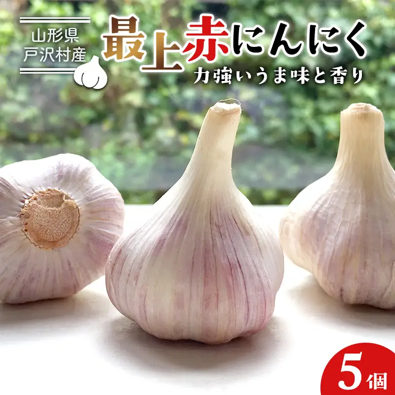 山形県 戸沢村産 最上赤にんにく 5個 約250g 国産 野菜 やさい 大蒜 ニンニク ストック 保存 自宅 家庭 F7W-0501