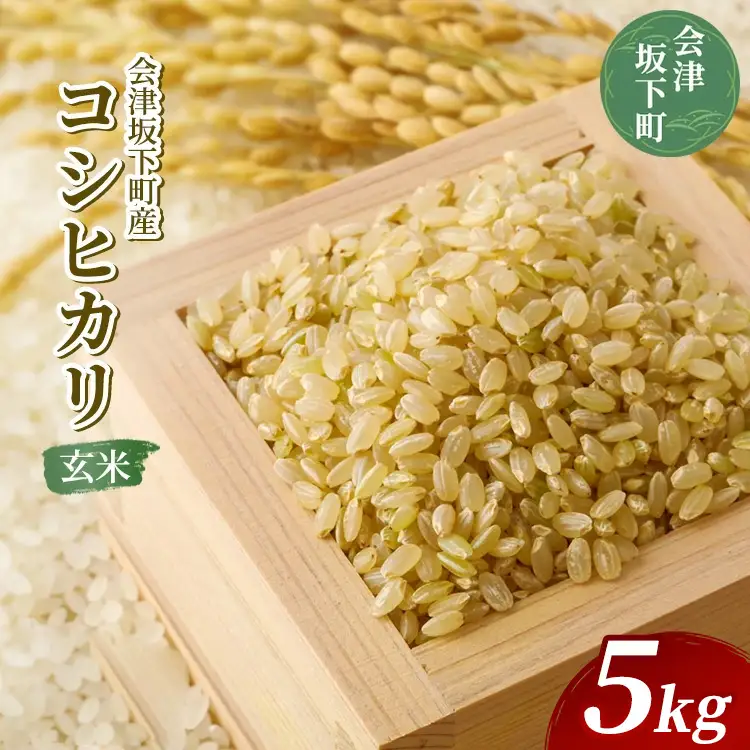 21-V 会津坂下町産 コシヒカリ 5kg （令和7年産米）（玄米） | 米 こめ コメ 玄米 5kg コシヒカリ