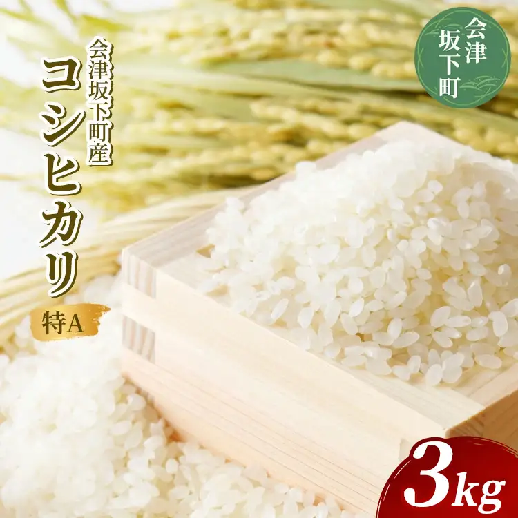 21-R 会津坂下町産 コシヒカリ 3kg （令和7年産米）（白米） | 米 こめ コメ 精米 白米 3kg コシヒカリ