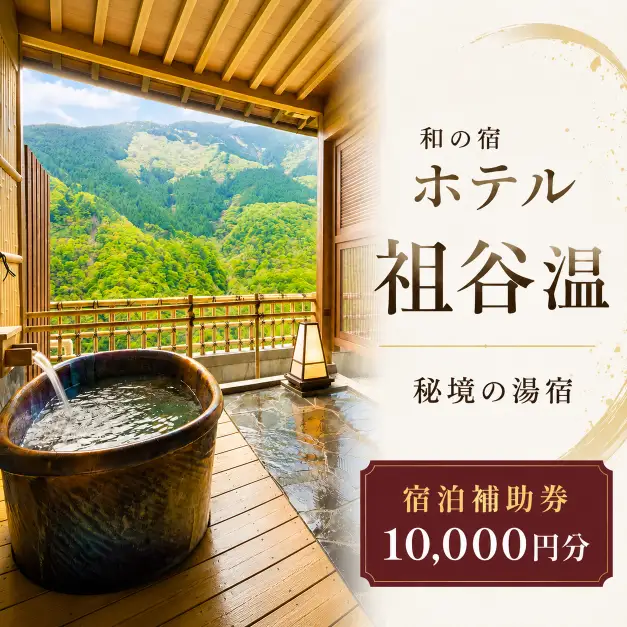 ホテル祖谷温泉 宿泊券 10,000円分 徳島県 三好市 旅行 【 ホテル 】