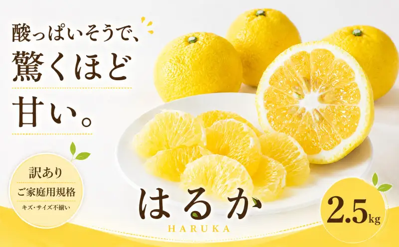 2027年2月上旬~3月下旬迄に 出荷予定