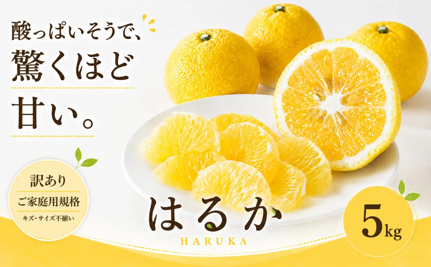 2027年2月上旬~3月下旬迄に 出荷予定