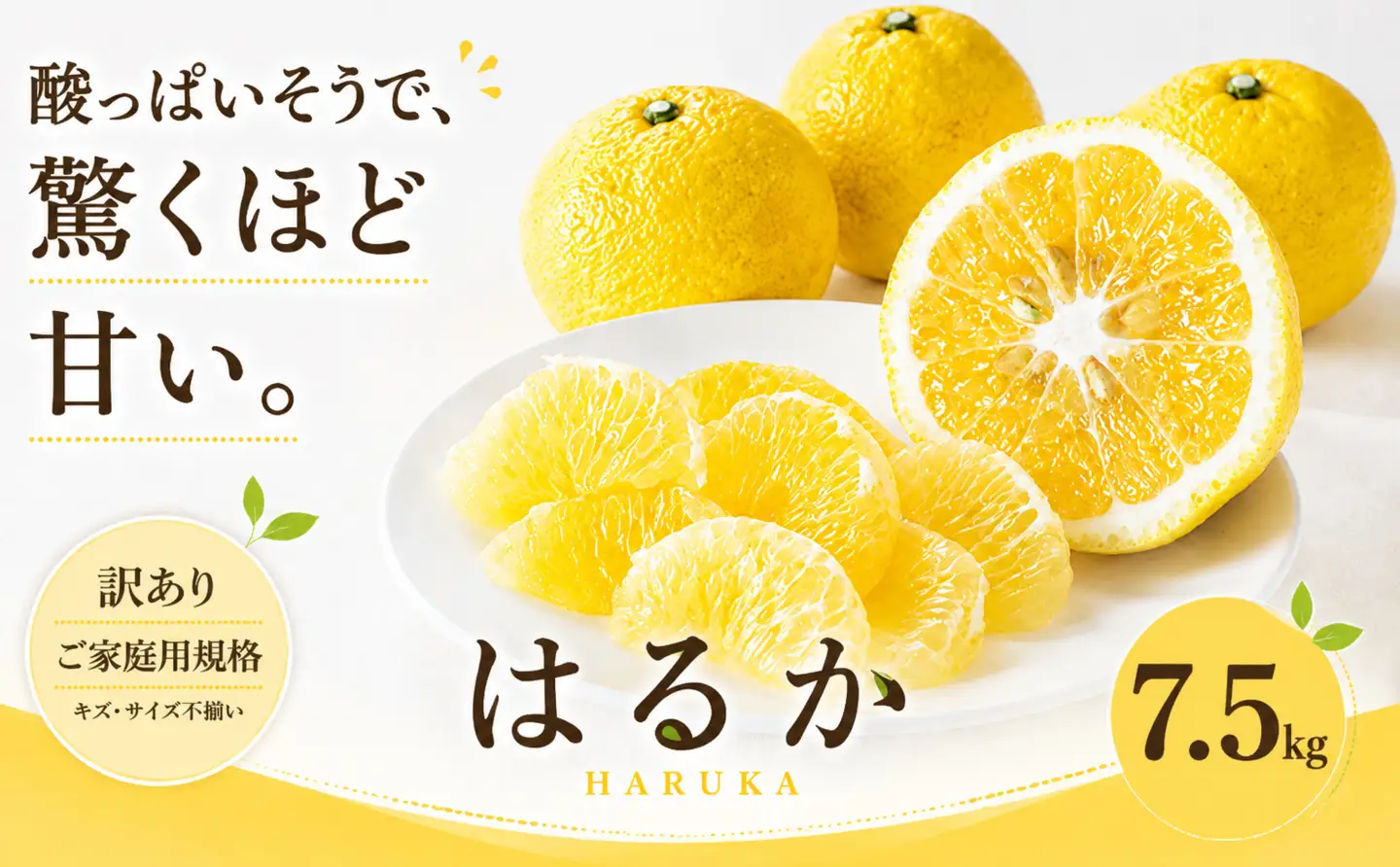 2027年2月上旬~3月下旬迄に 出荷予定