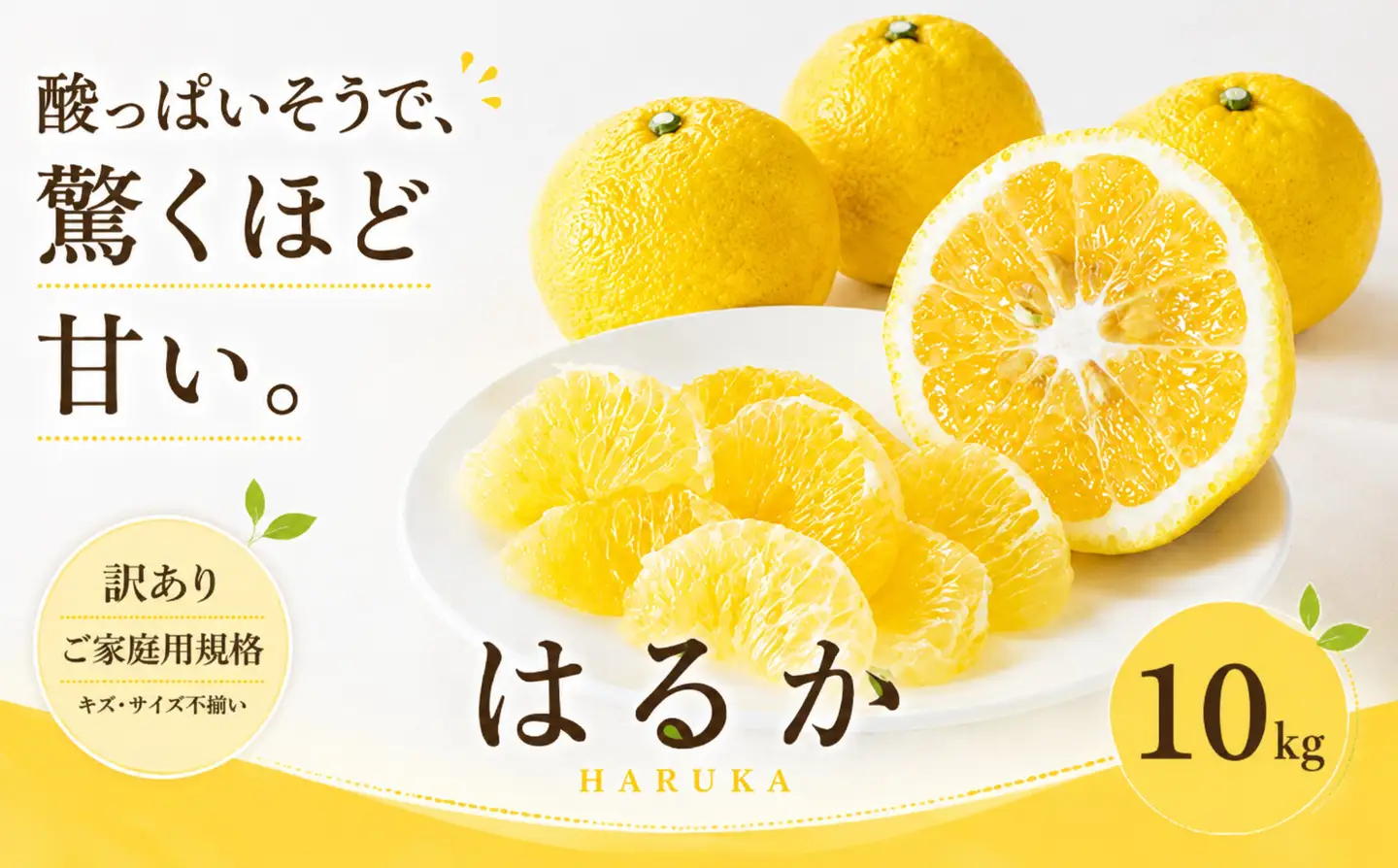 2027年2月上旬~3月下旬迄に 出荷予定