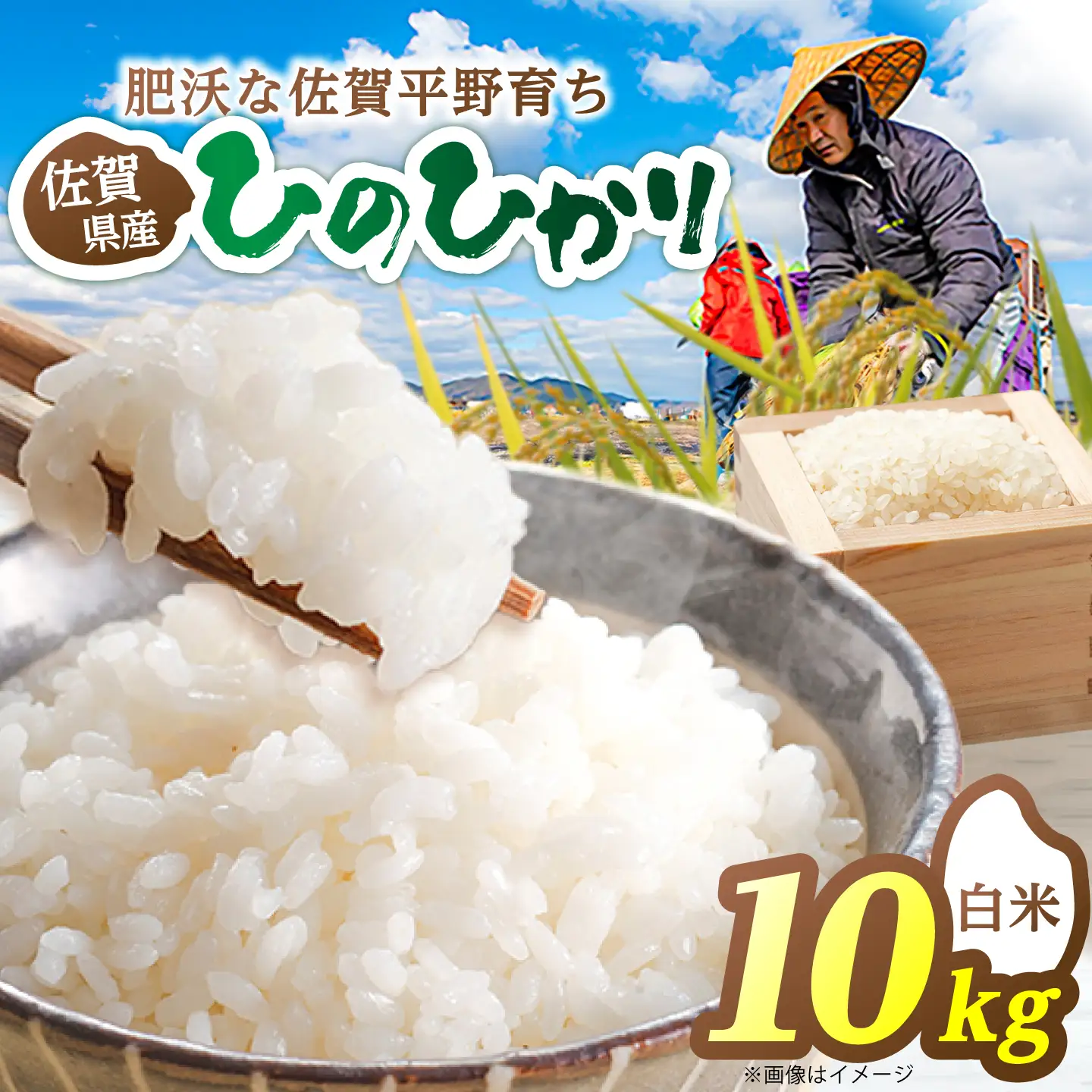【先行予約 2026年10月～発送】ヒノヒカリ 白米 10kg 【片渕農園】令和8年産 新米 [IDG006]