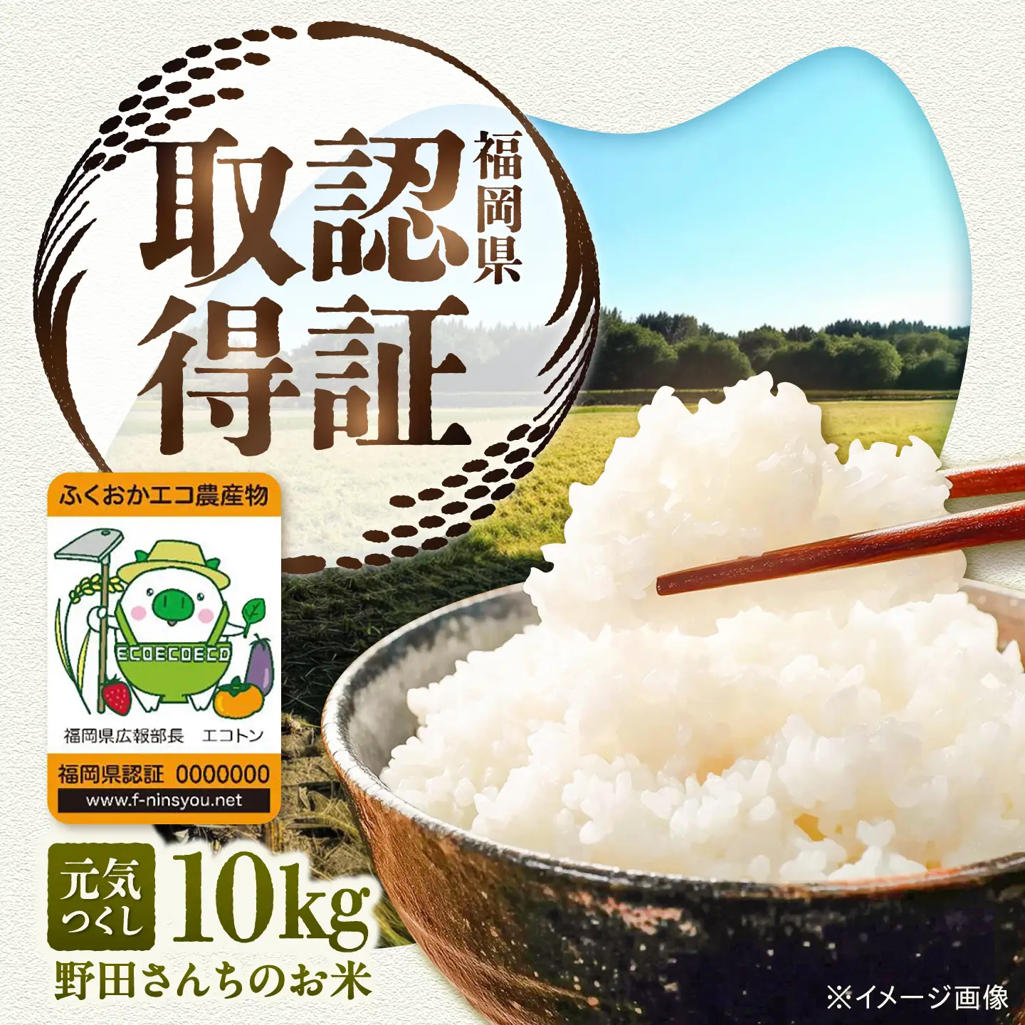 【令和8年産 新米】野田さんちのお米 元気つくし 10kg 広川町 / 広川いちご園[AFCO001]