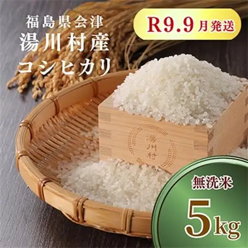 令和8年産湯川村産コシヒカリ【精米・無洗米】5kg  R9.9月発送【1773976】