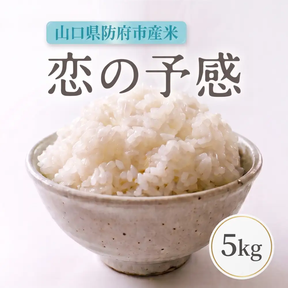 恋の予感 5kg カレー食堂コモやん 山口県 防府市 A-F39 お米 白米 米 精米 5kg ブランド米 ギフト 減農薬 縁起物 贈り物