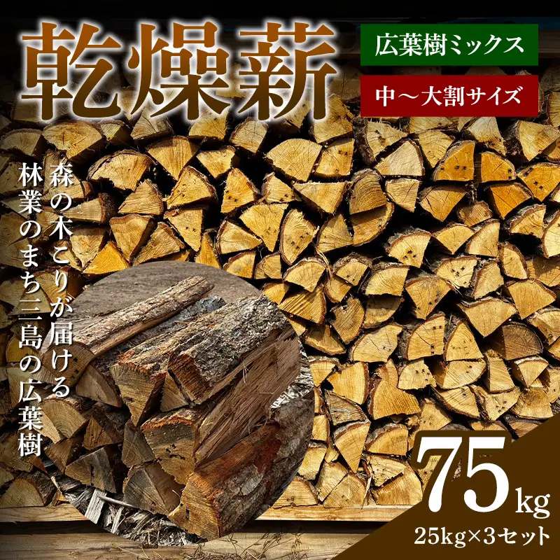 森の木こりが届ける 林業のまち三島の広葉樹「乾燥薪」75kg 薪ストーブ キャンプ アウトドア 焚火 焚き火 暖炉  アウトドアグッズ アウトドア用品 FAG-0104