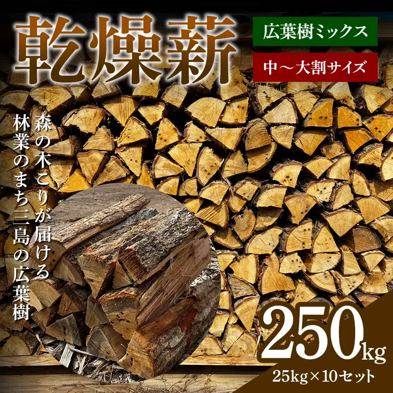 森の木こりが届ける 林業のまち三島の広葉樹「乾燥薪」250kg 薪ストーブ キャンプ アウトドア 焚火 焚き火 暖炉  アウトドアグッズ アウトドア用品 FAG-0108