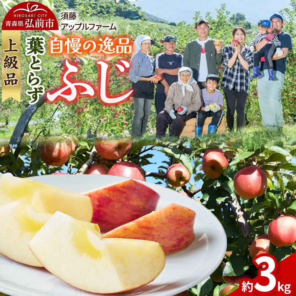【26年11月下旬～発送】りんご 葉とらず ふじ【上級品】約3kg 先行受付 青森県 弘前市 果物 フルーツ 林檎 リンゴ くだもの ギフト 贈り物 贈答