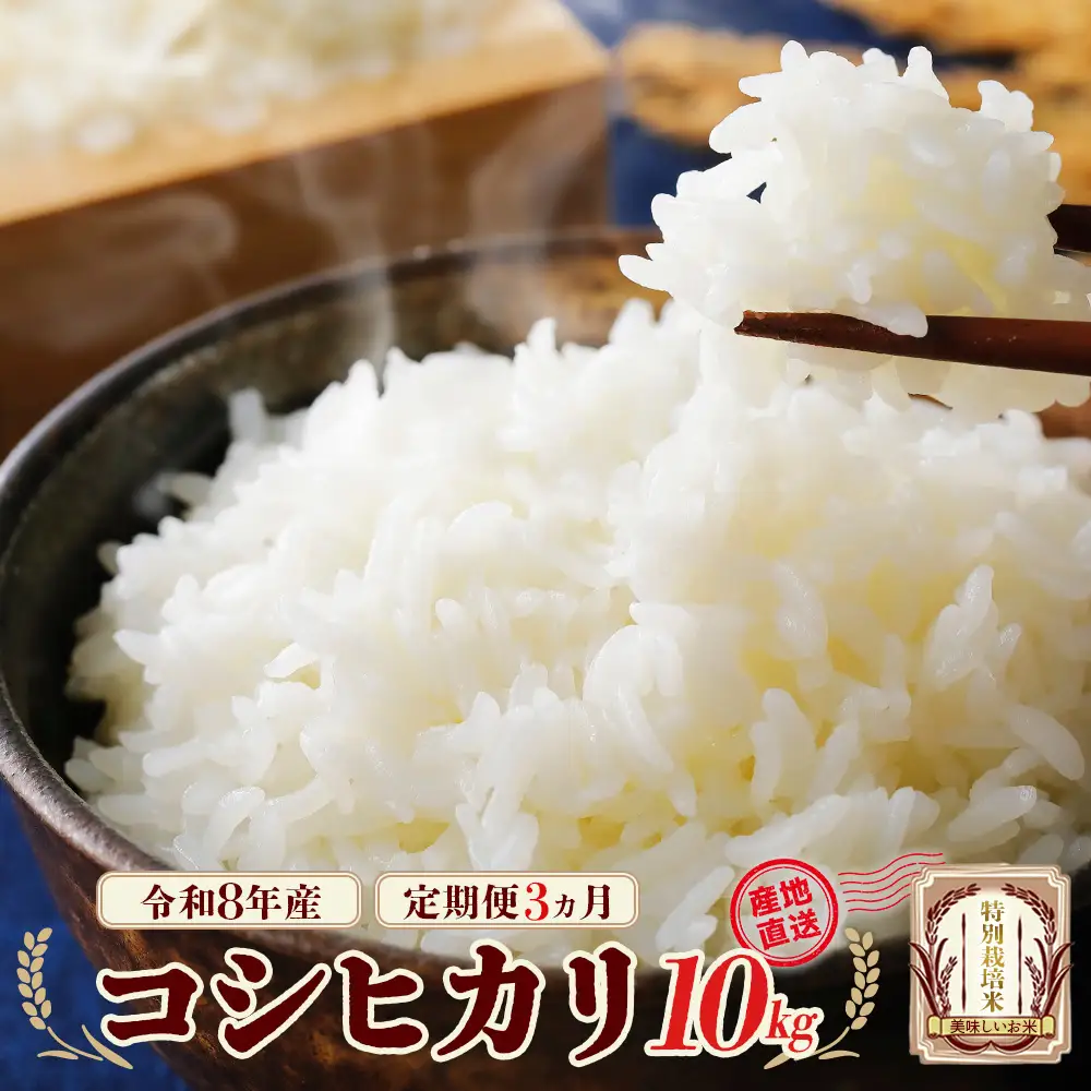 【先行予約】【3か月定期便】令和8年産　特別栽培米コシヒカリ10kg/計30kg　特別栽培米　コシヒカリ　雪蔵銀ぴか米 　会津　喜多方【07208-0953】