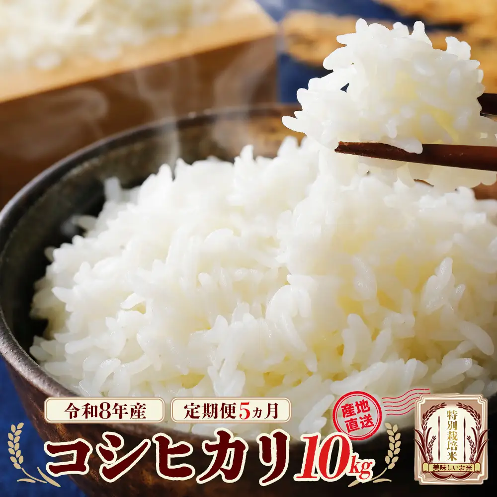 【先行予約】【5か月定期便】令和8年産　特別栽培米コシヒカリ10kg/計50kg　特別栽培米　コシヒカリ　雪蔵銀ぴか米 　会津　喜多方【07208-0955】