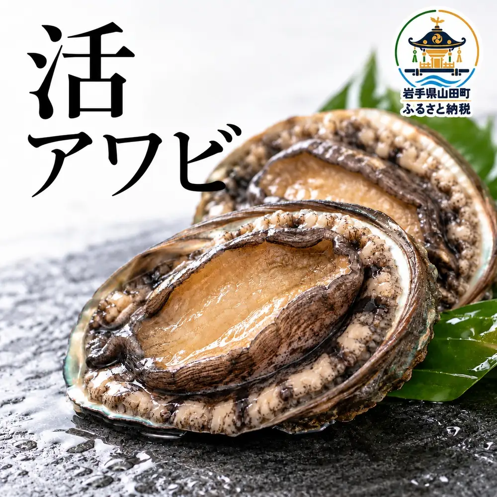 活アワビ 特大 1kg　（11月以降順次発送） | KI025-t-1000g