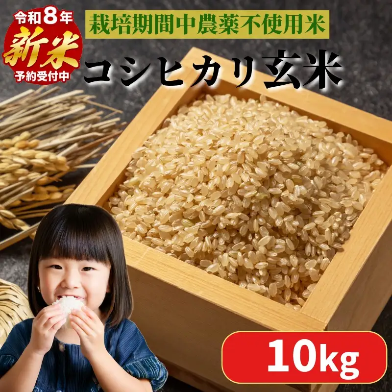【2026年9月順次発送】 栽培期間中農薬不使用 コシヒカリ玄米 10kg 玄米 米 化学肥料不使用 新米 こめ 健康 ご飯 ダイエット 栄養豊富 ビタミン ミネラル 小松島市