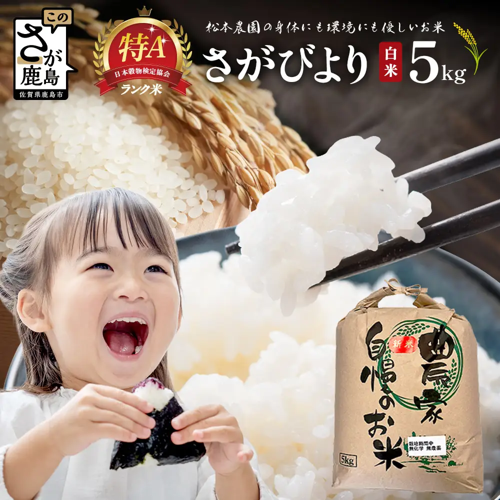 先行受付 令和8年産 新米 さがびより 5kg 佐賀県産 特A評価獲得品種 白米 米 お米 こめ 佐賀県 鹿島市 C-203