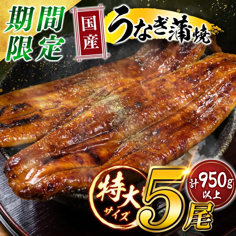 特大 国産 うなぎ 蒲焼 5尾（計950g以上）