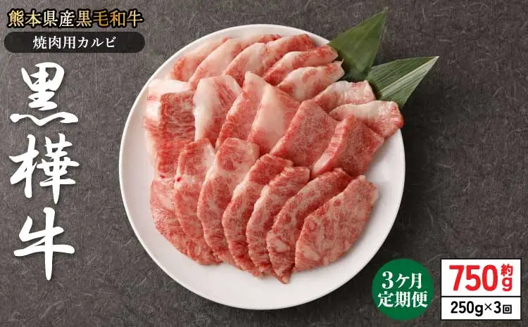 令和8年熊本地震復興支援 【1ヶ月毎3回定期便】黒毛和牛 黒樺牛 焼肉用カルビ 計約750g (約250g×3回) 杉本本店