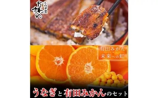 【コラボ】国産うなぎ蒲焼き大サイズ２本セット(うなぎの肝吸い2食付き)＆有田みかん「未来への虹」（5kg）(B1125-1)