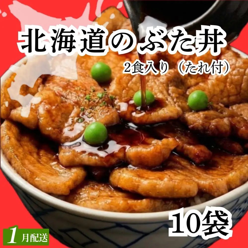 【1月配送】ホクレン 北海道のぶた丼 （2食入り）250g×10袋 北海道産 豚肉使用 産地直送 冷凍