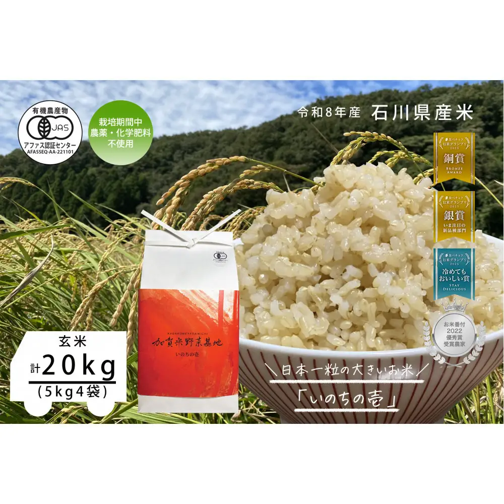 《令和8年産 新米 先行予約》【お米グランプリ3部門受賞】＜有機JAS認証米＞日本一粒の大きいお米『いのちの壱』玄米20kg
