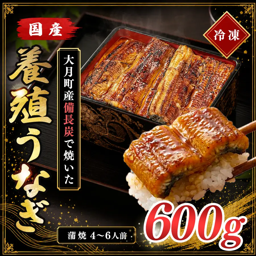国産 うなぎ 蒲焼 600g 大容量 備長炭焼き 関西風 養殖 うなぎ 鰻 ウナギ うなぎ蒲焼 炭火焼き 冷凍 高知県 大月町