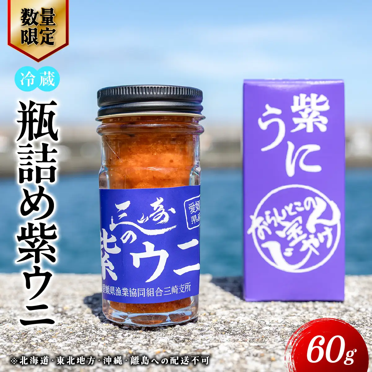 【数量限定】瓶詰め紫ウニ（60g・単品） 冷蔵 ※北海道・東北地方・沖縄・離島への配送不可    IKTJ023