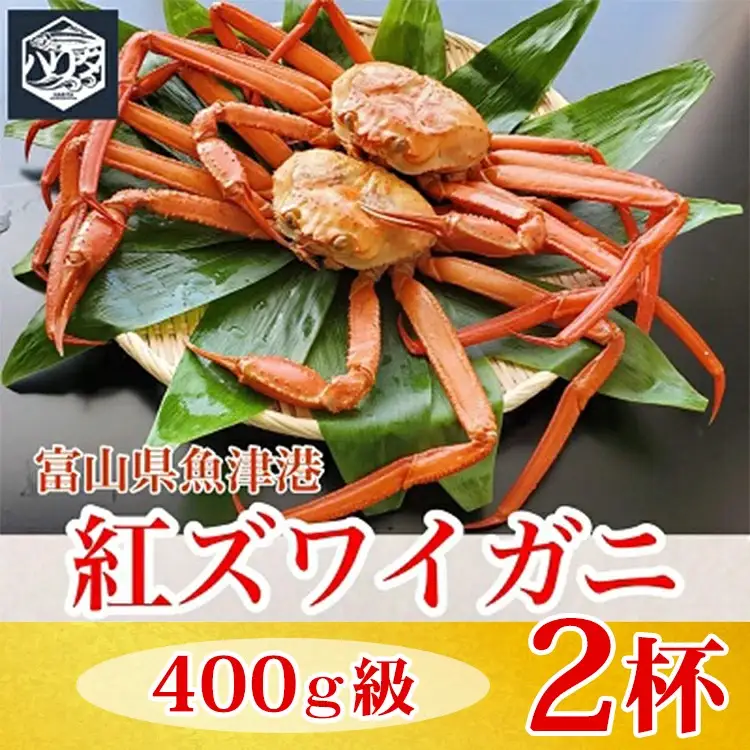 【冷蔵】自社漁船直送！魚卸問屋の紅ズワイガニ 400g級×2ハイセット ※2026年9月～発送