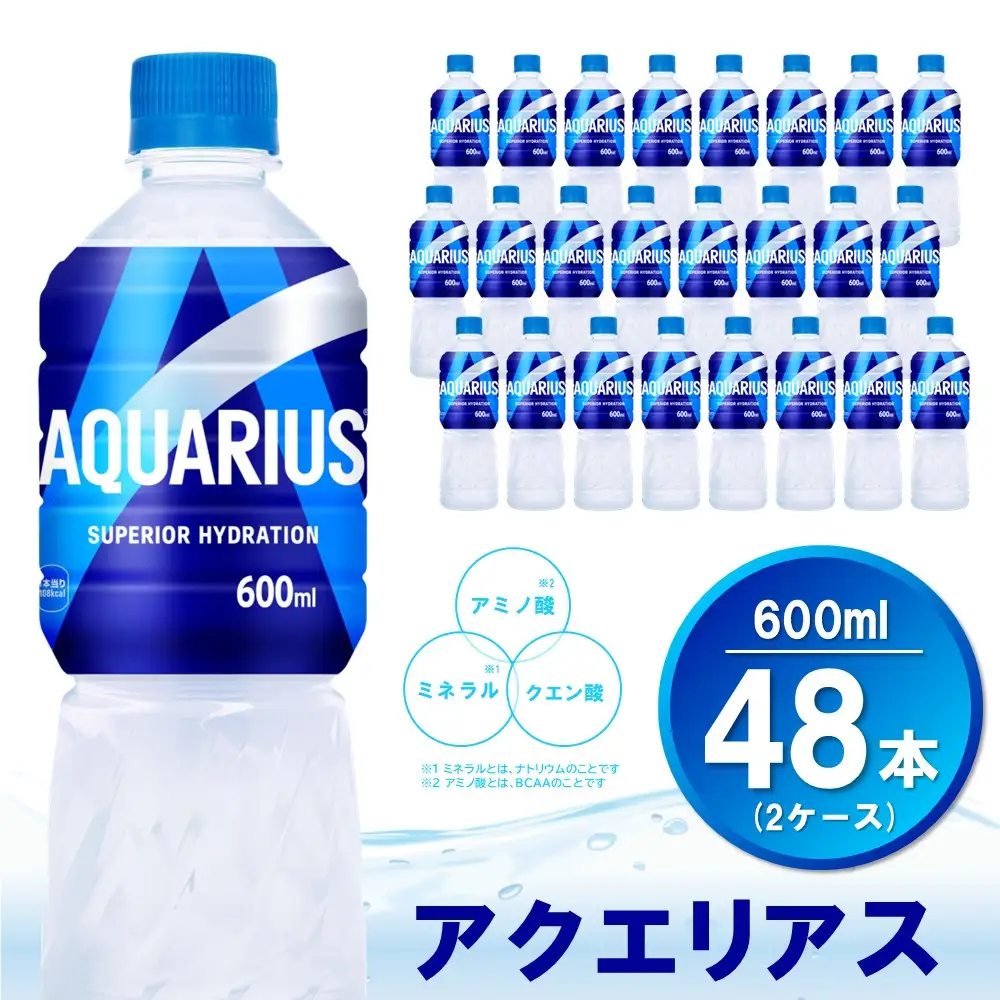 アクエリアス 600mlPET×24本(2ケース) 計48本 K090111