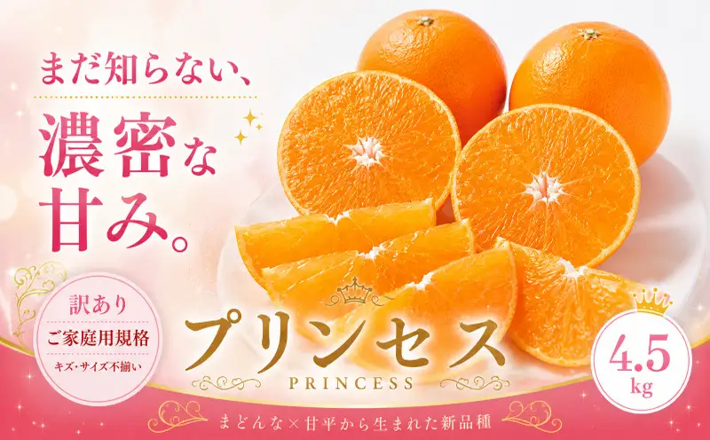 2027年2月下旬~3月下旬迄に 出荷予定