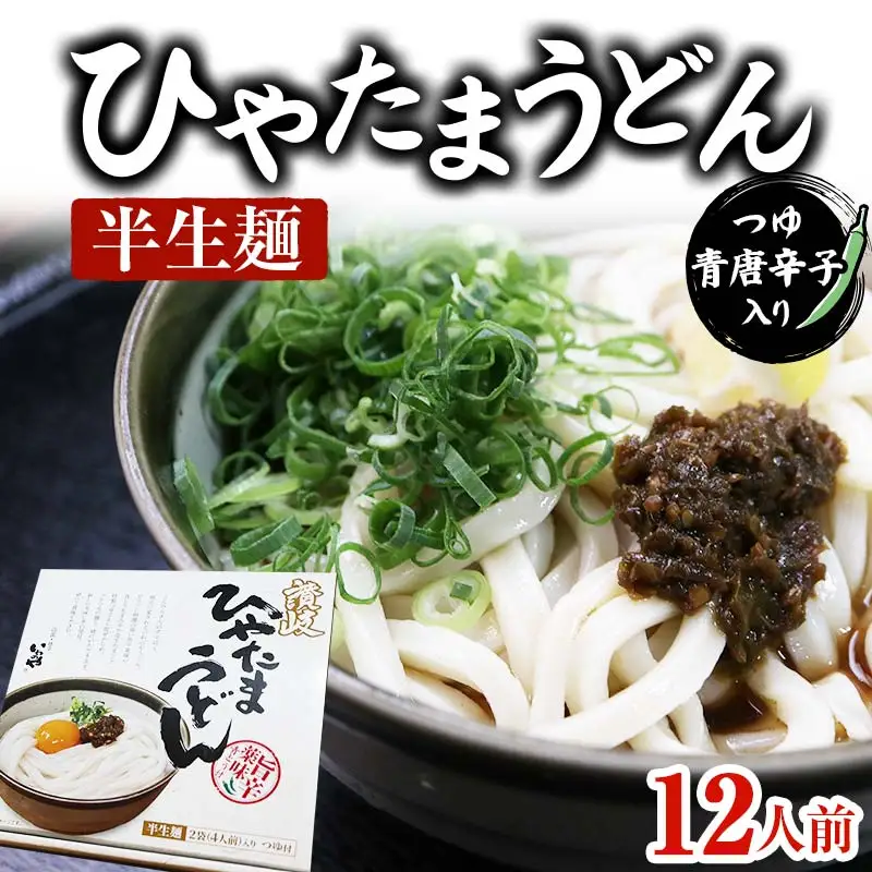【セット】半生うどん (つゆ・青唐辛子入り) 3箱 うどん 麺 麺類 加工品 食品  F5J-175