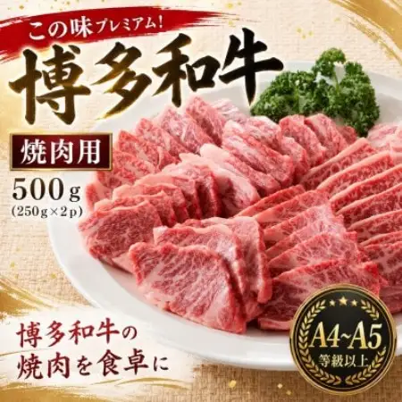 この味プレミアム!【A4～A5】博多和牛焼肉用　500g(250g×2p)(大野城市)【配送不可地域：離島】【1770971】